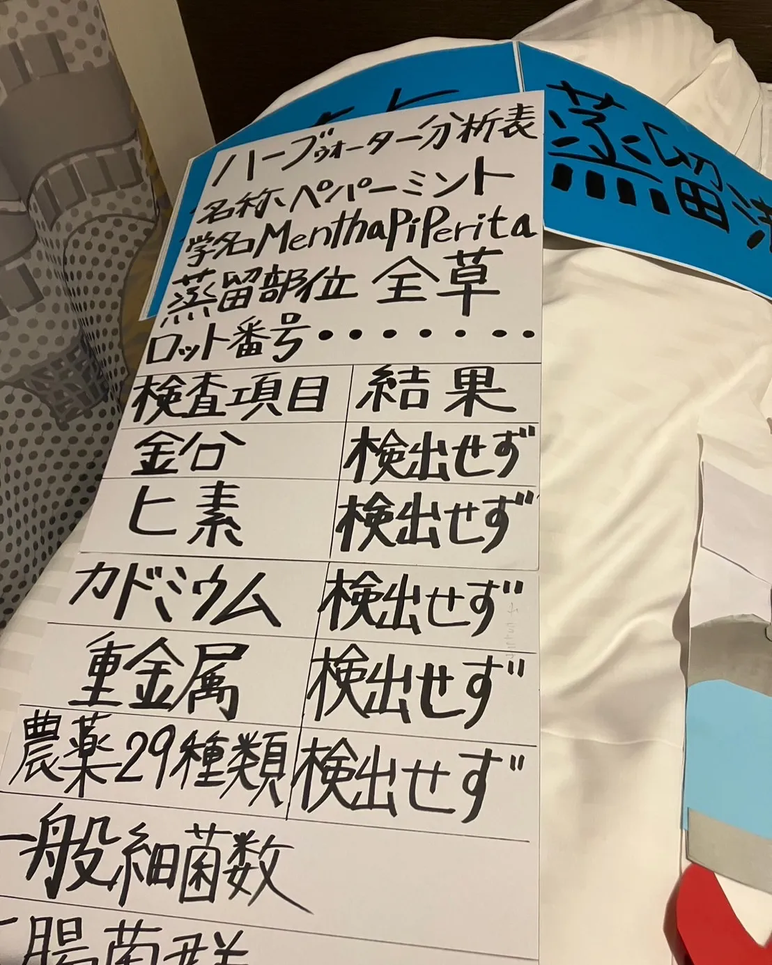 𝟮𝟬𝟮𝟱年秋🍂