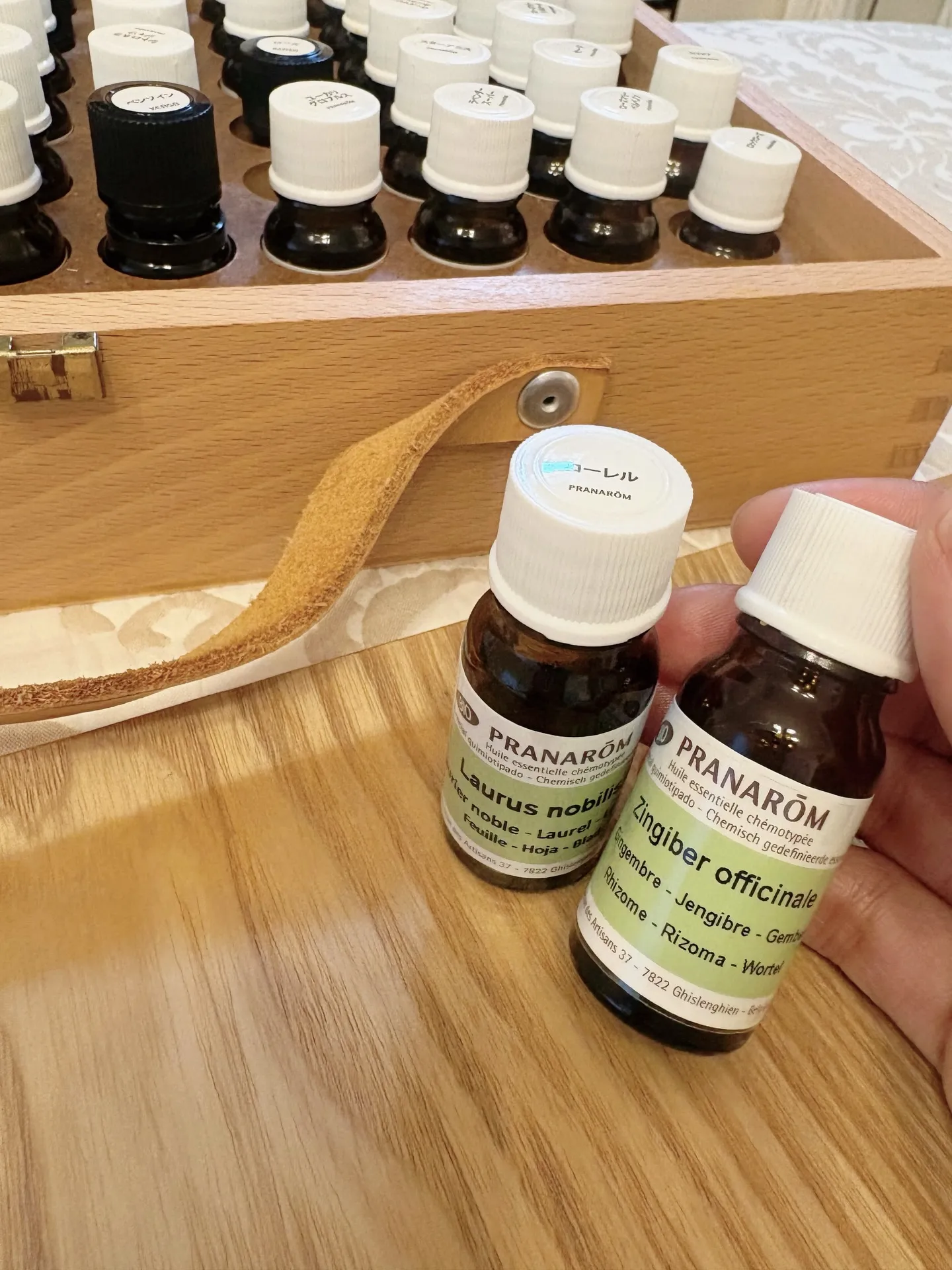 【素晴らしい朝】