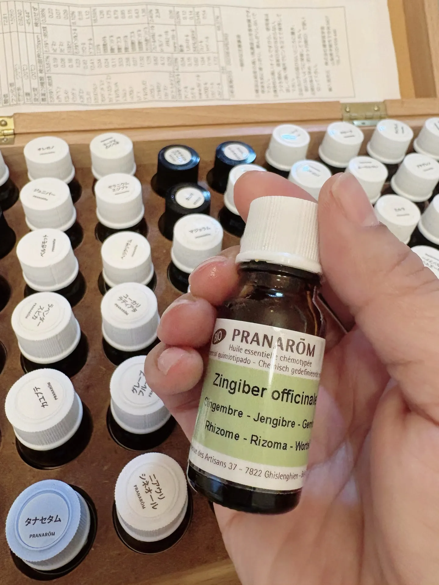 【素晴らしい朝】