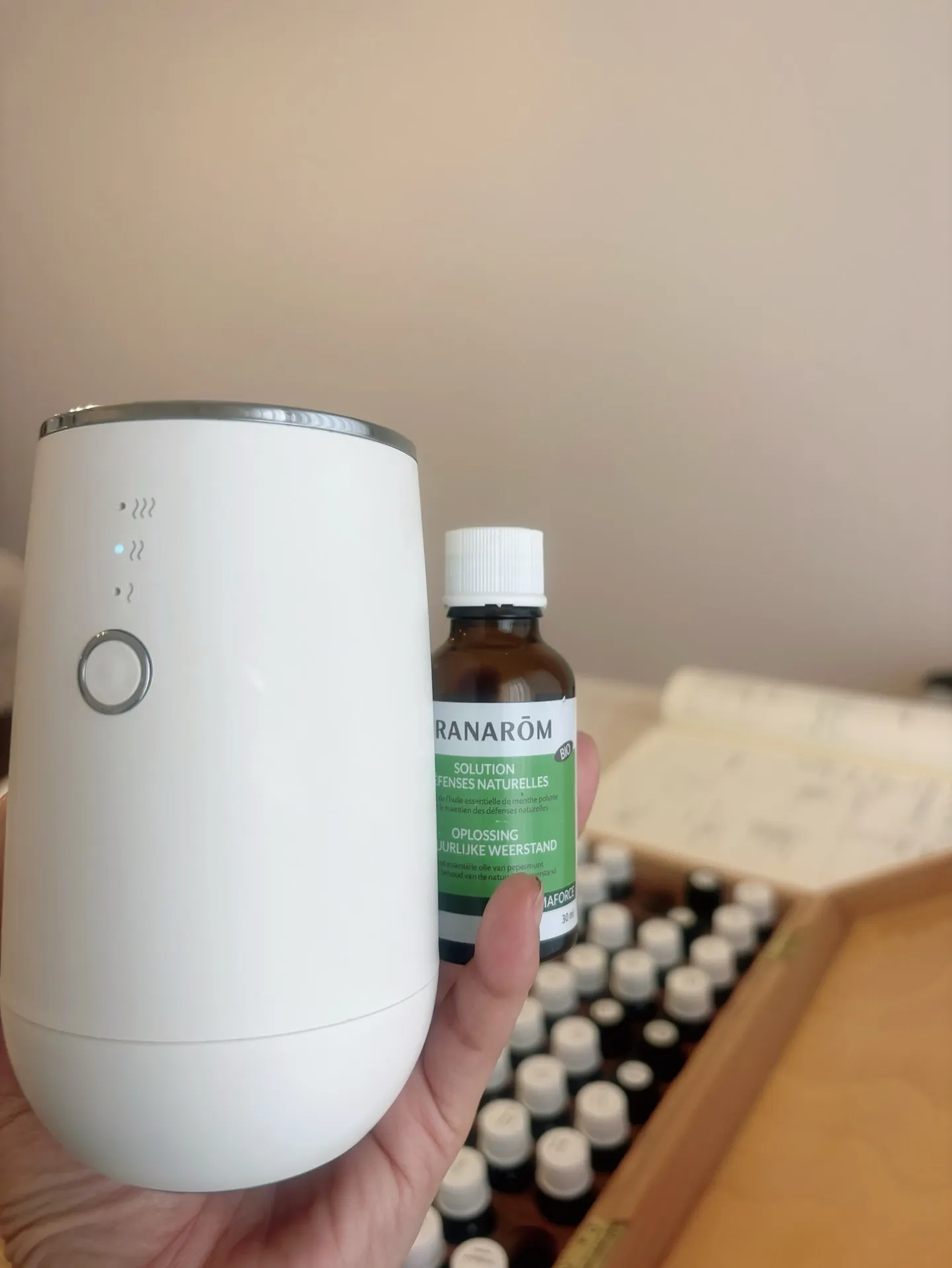 【素晴らしい朝】