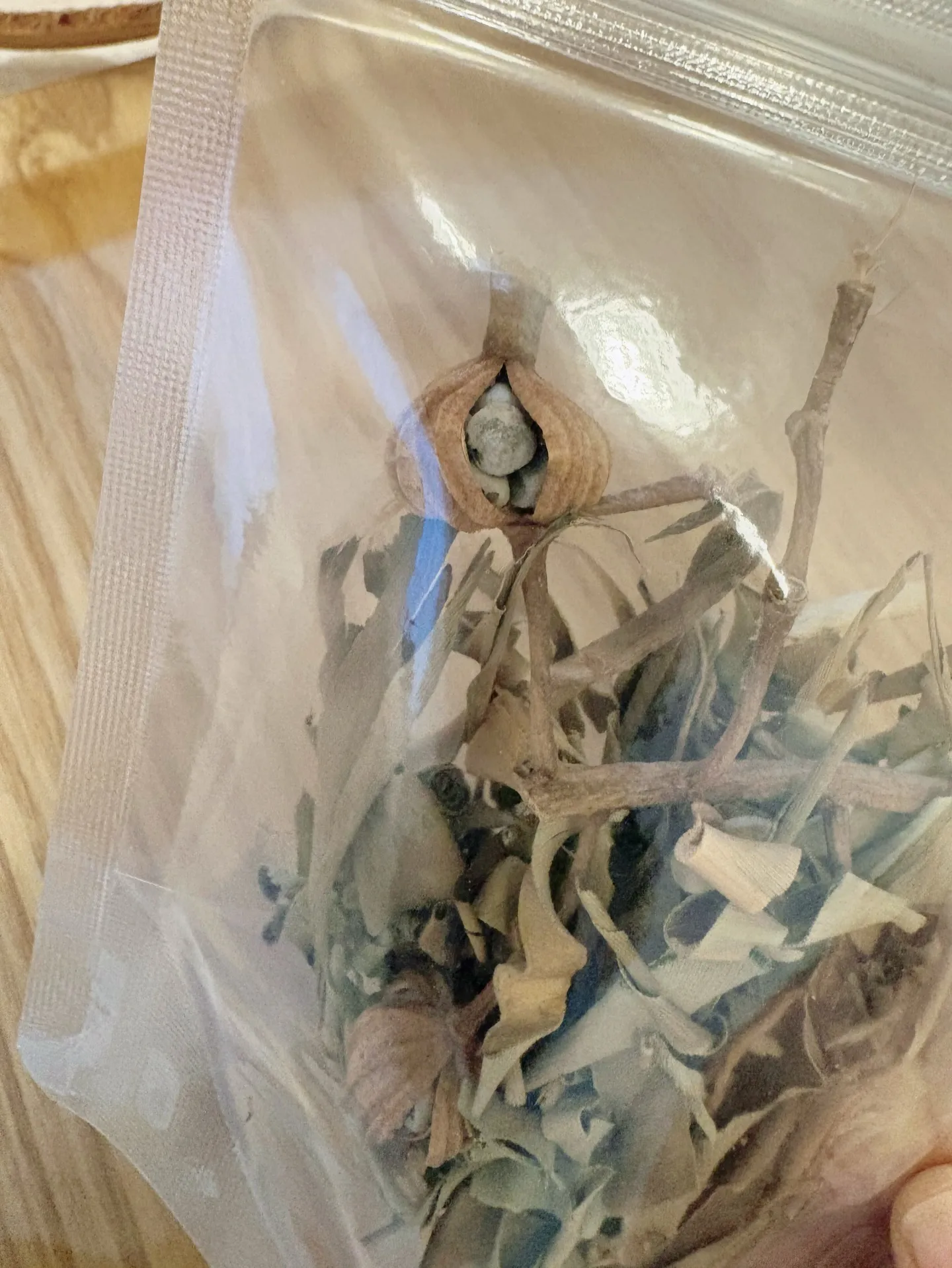 【素晴らしい朝】