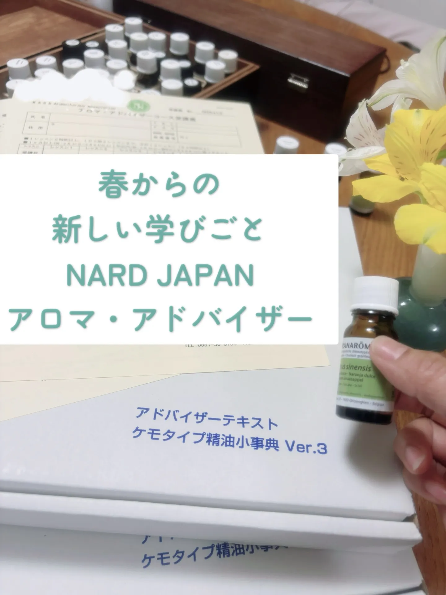 【春からの新しい学びごと!