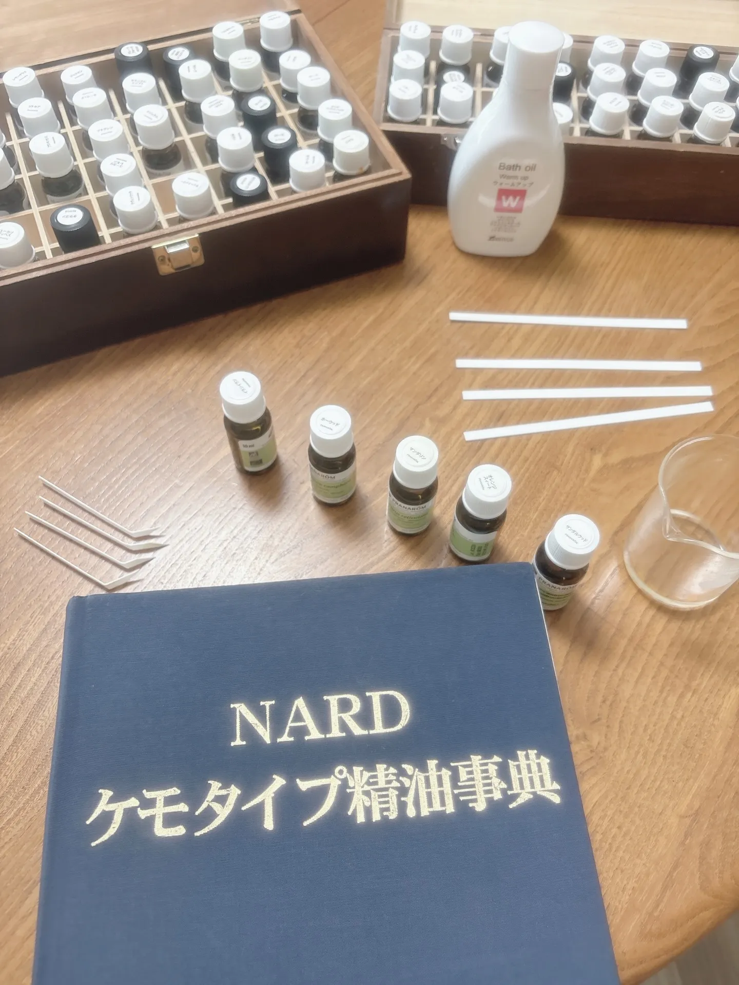 【春からの新しい学びごと!