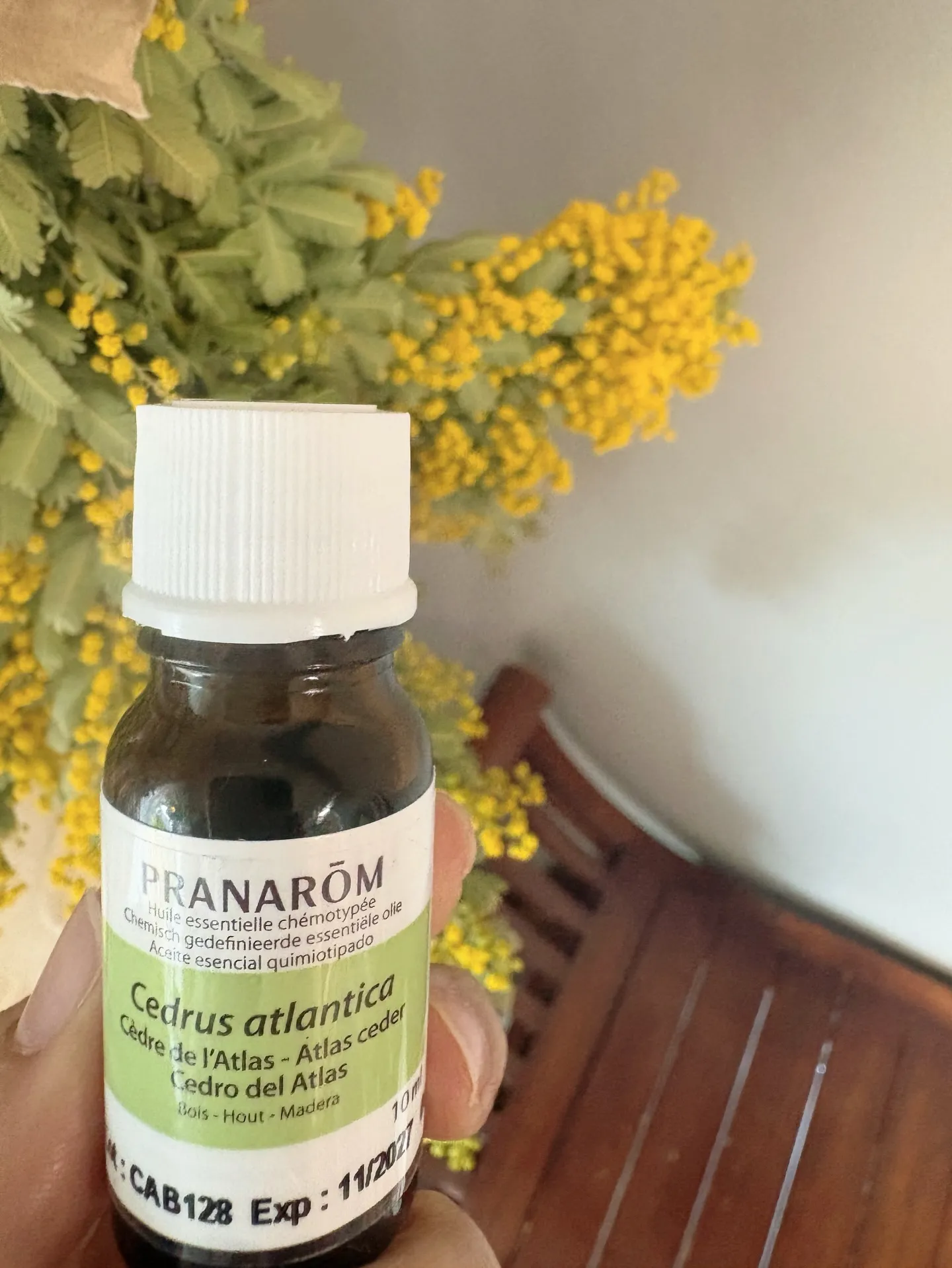 【春からの新しい学びごと!