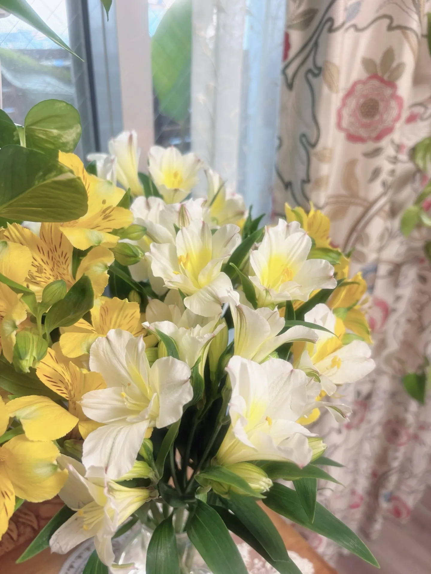 【春からの新しい学びごと!