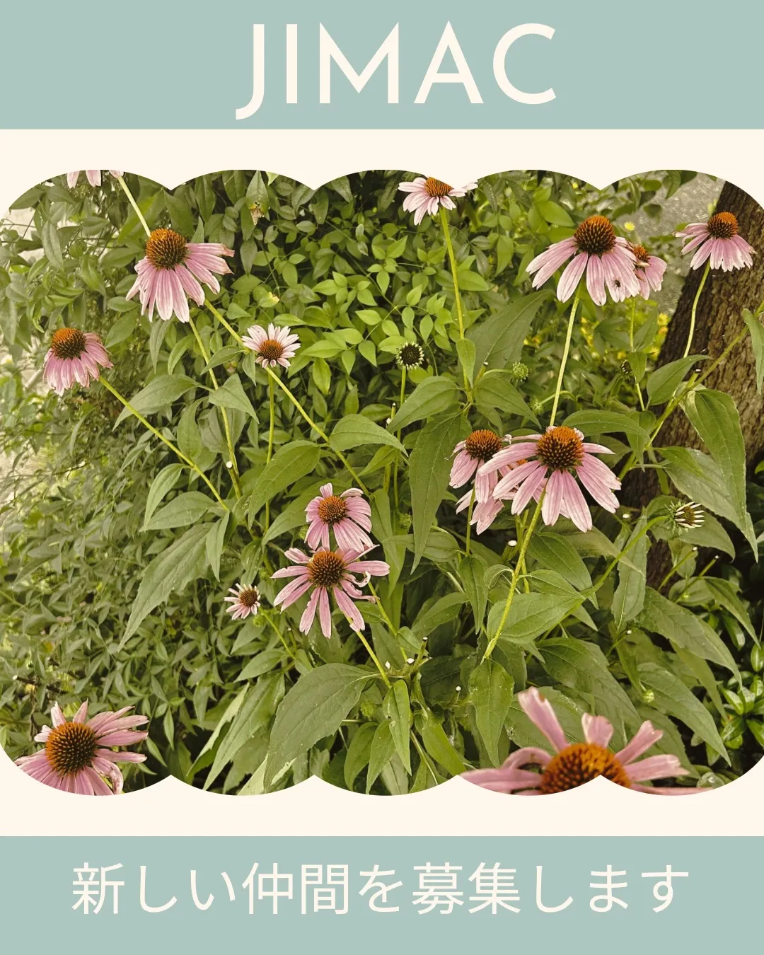 セミナーのご案内