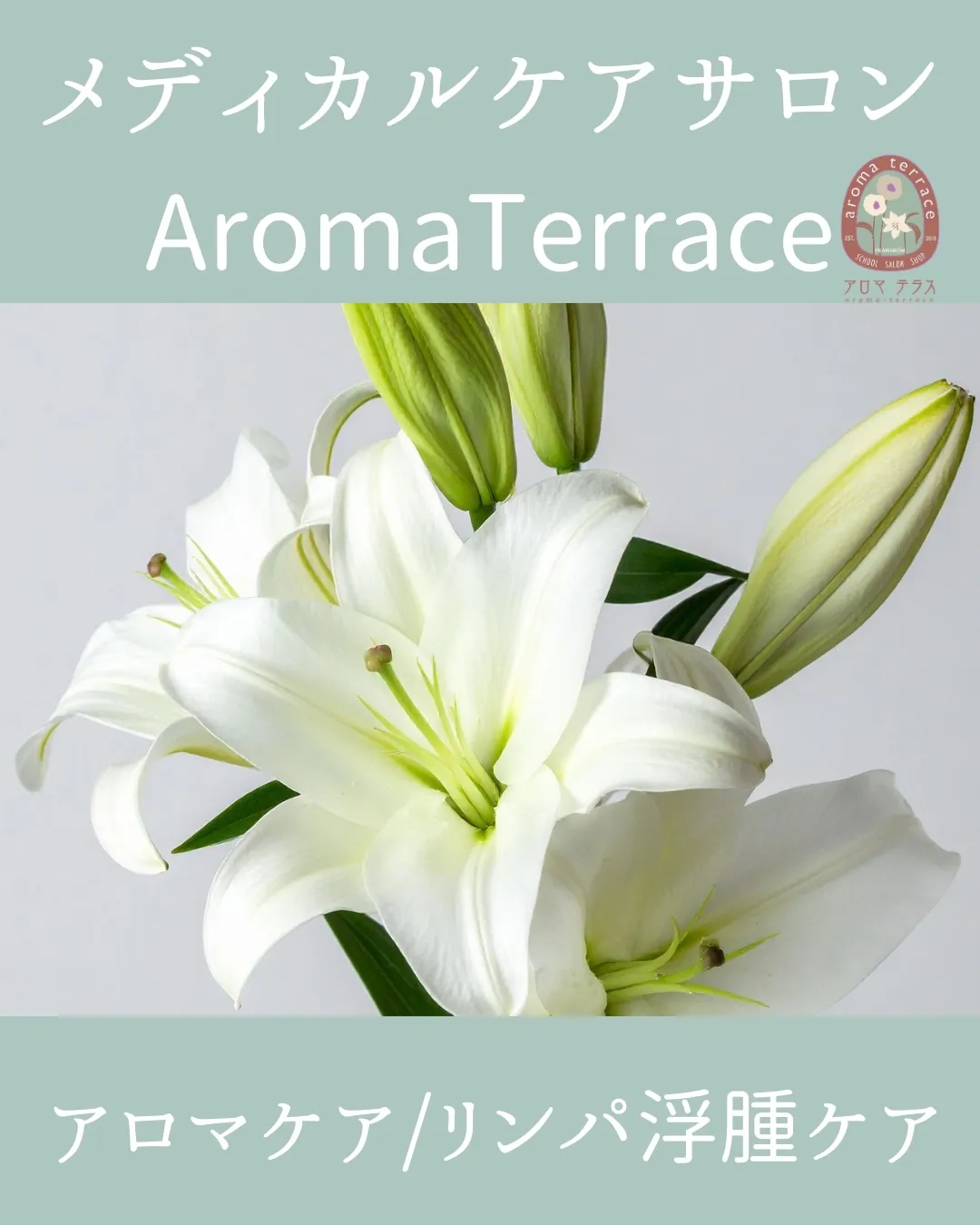 熊本/西新 メディカルケアサロン