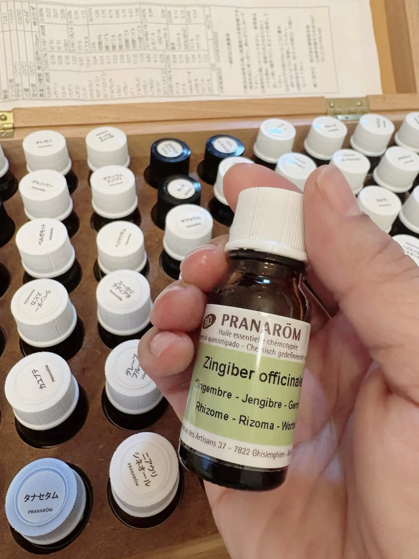 𝟮𝟬𝟮𝟲年春アロマ・インストラクター