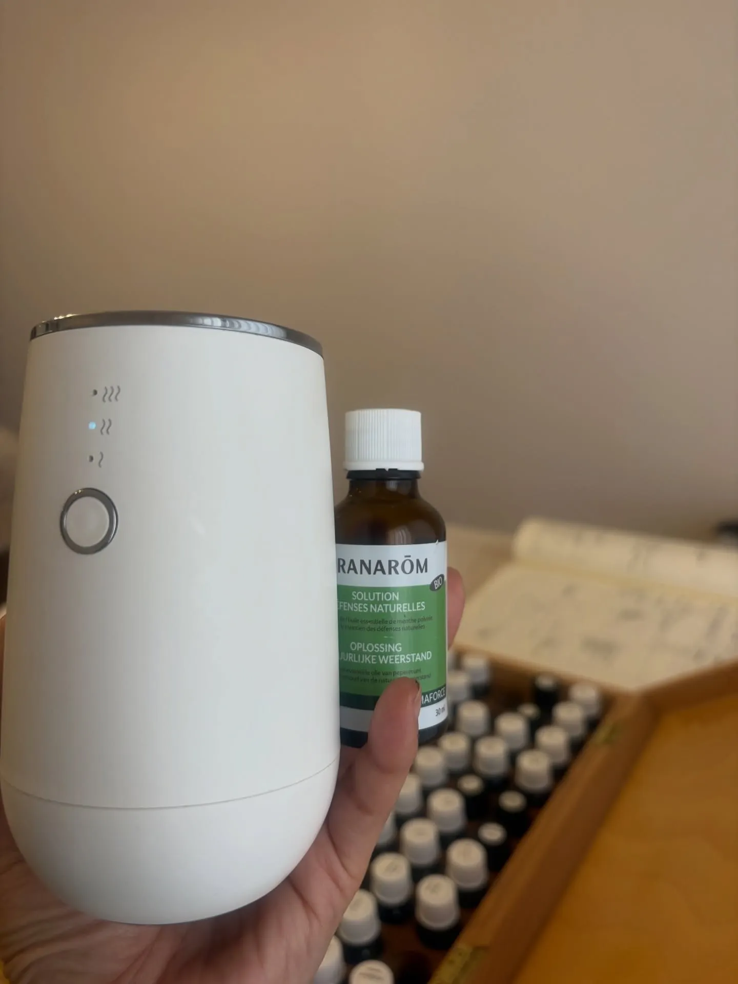 𝟮𝟬𝟮𝟲年春アロマ・インストラクター