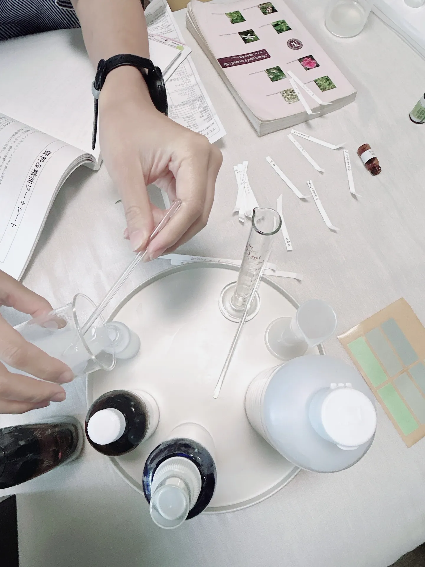 𝟮𝟬𝟮𝟲年春アロマ・インストラクター