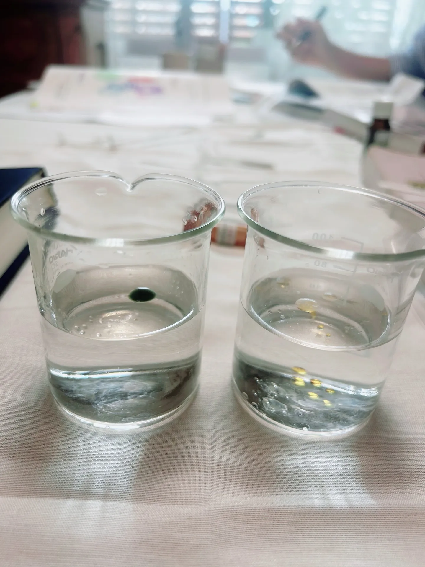 𝟮𝟬𝟮𝟲年春アロマ・インストラクター