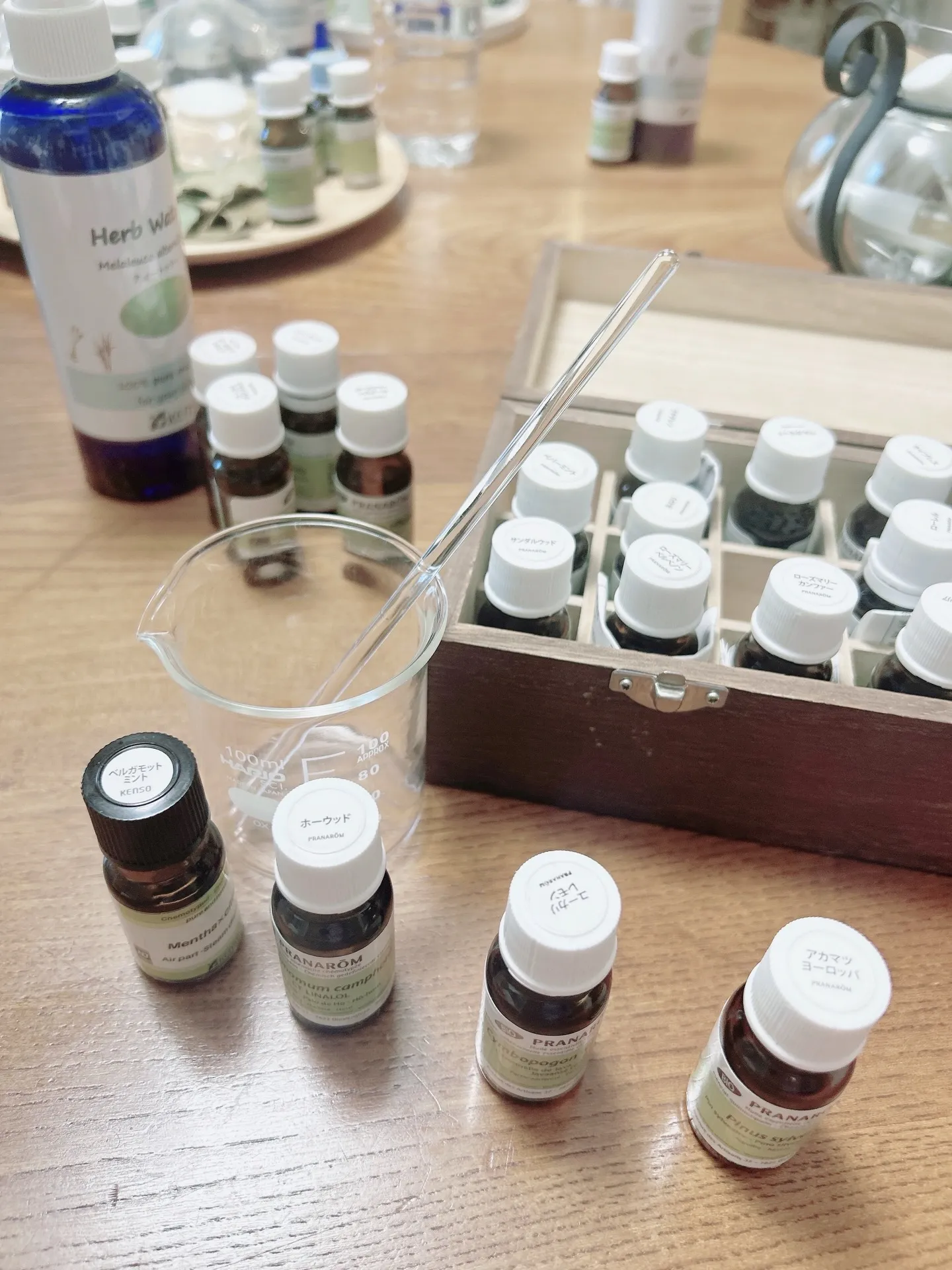 𝟮𝟬𝟮𝟲年春アロマ・インストラクター