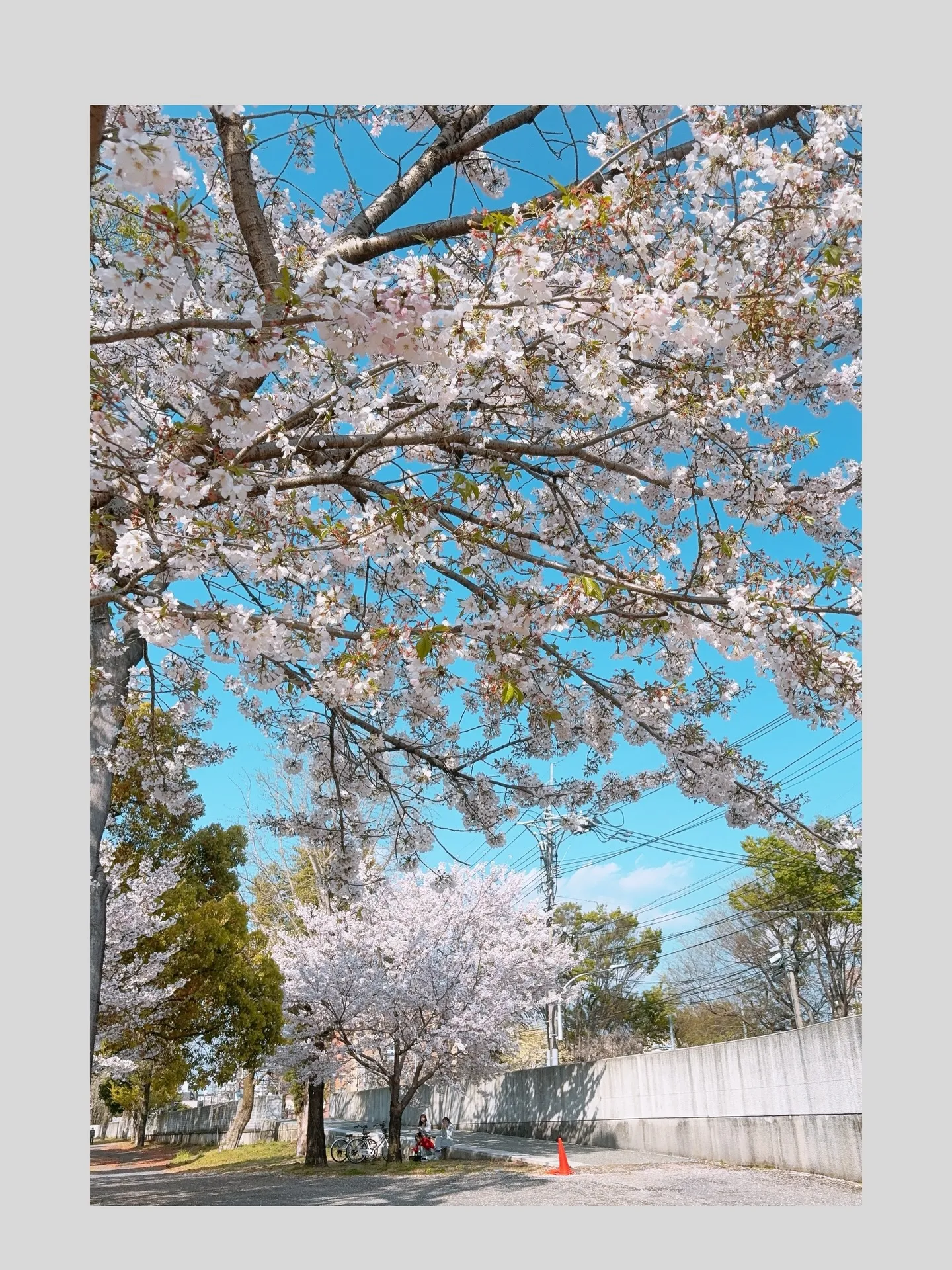 𝟮𝟬𝟮𝟲..𝟰月