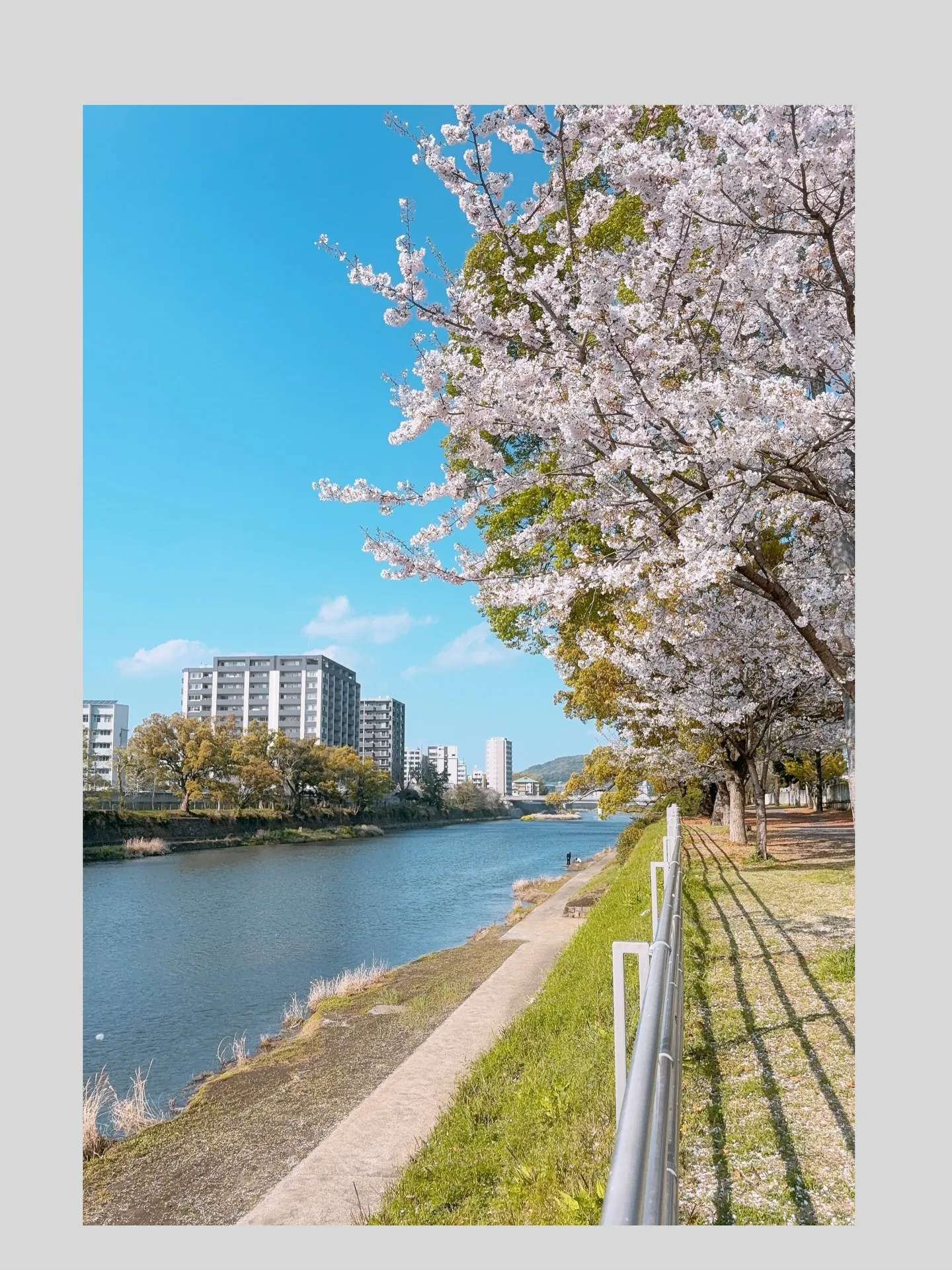 𝟮𝟬𝟮𝟲..𝟰月