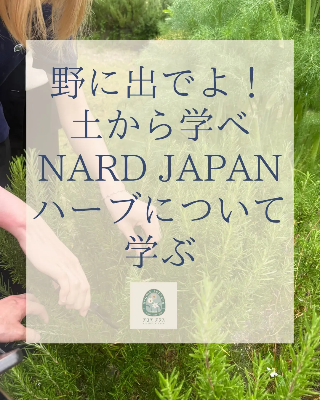 𝗡𝗔𝗥𝗗𝗝𝗔𝗣𝗔𝗡アロマ・アドバイザーで