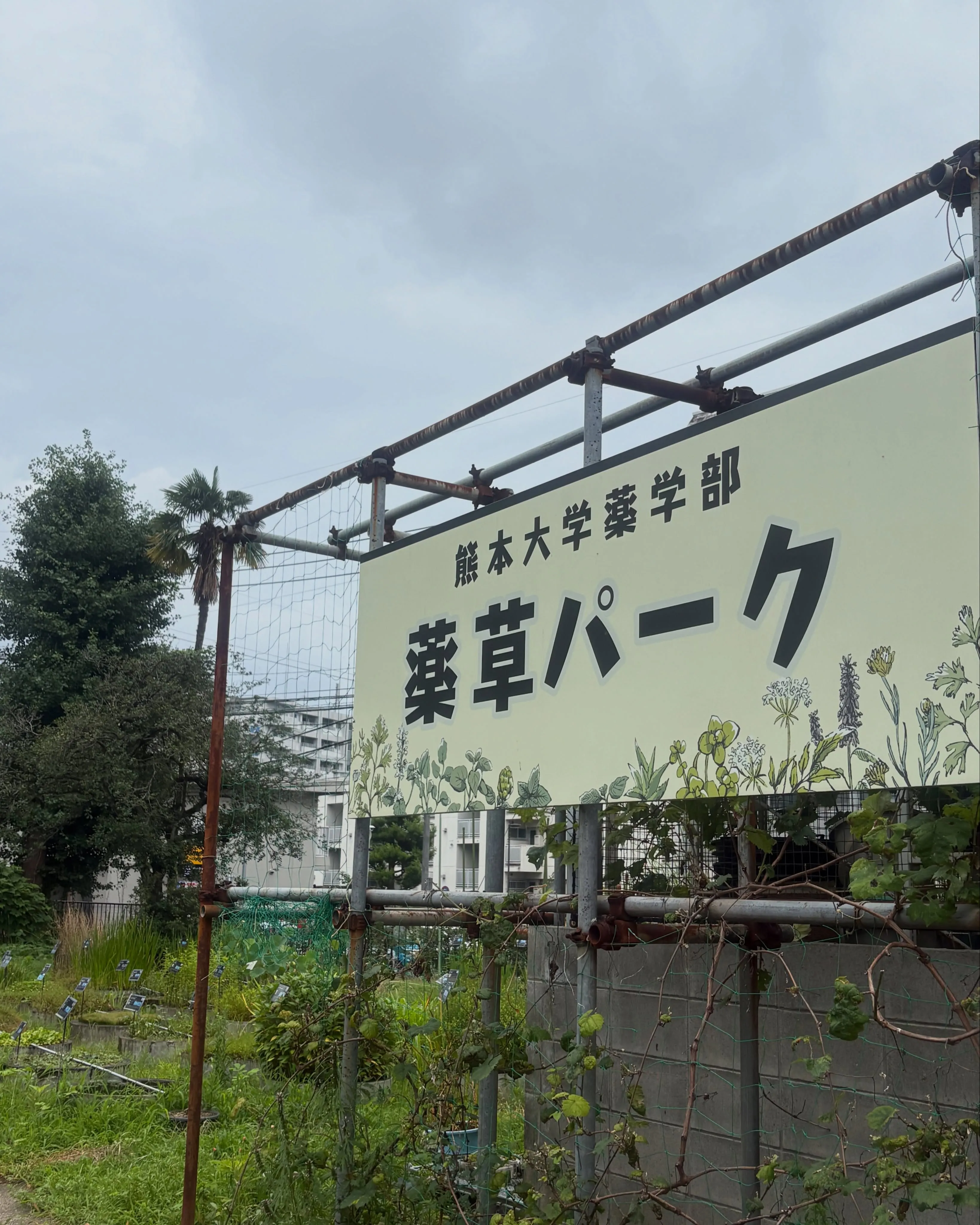 日本アロマセラピー学会