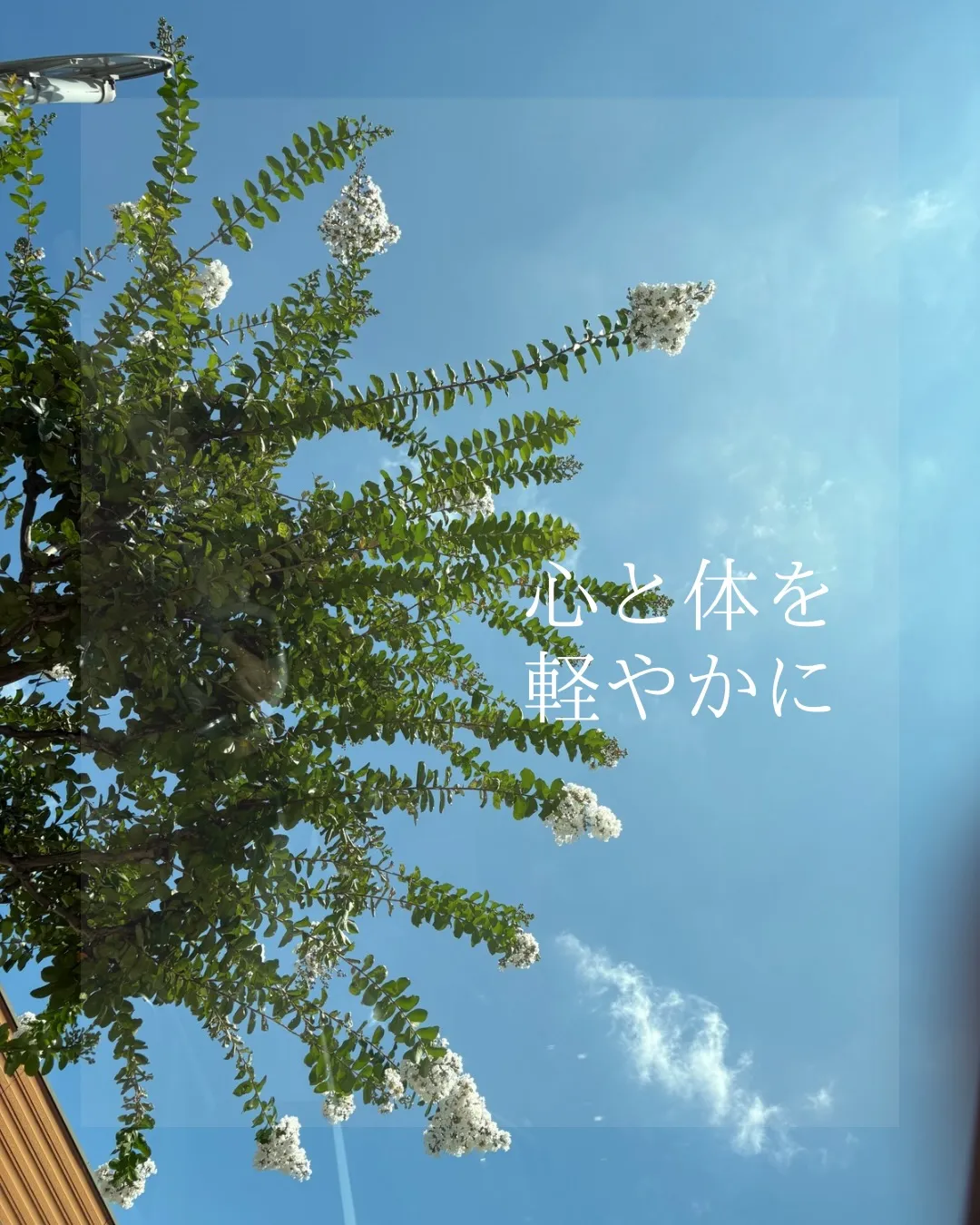 盆休み