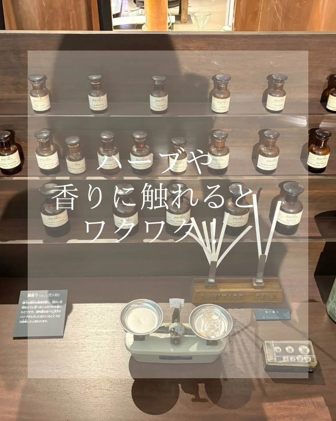 大分、香りの博物館