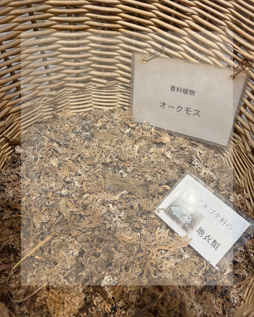 大分、香りの博物館
