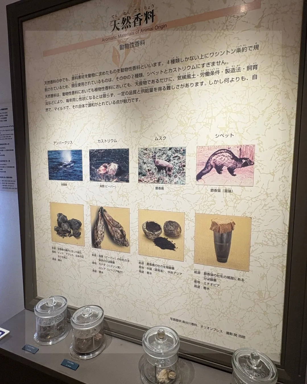 大分、香りの博物館