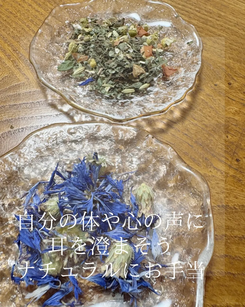 NARDJAPAN認定校
